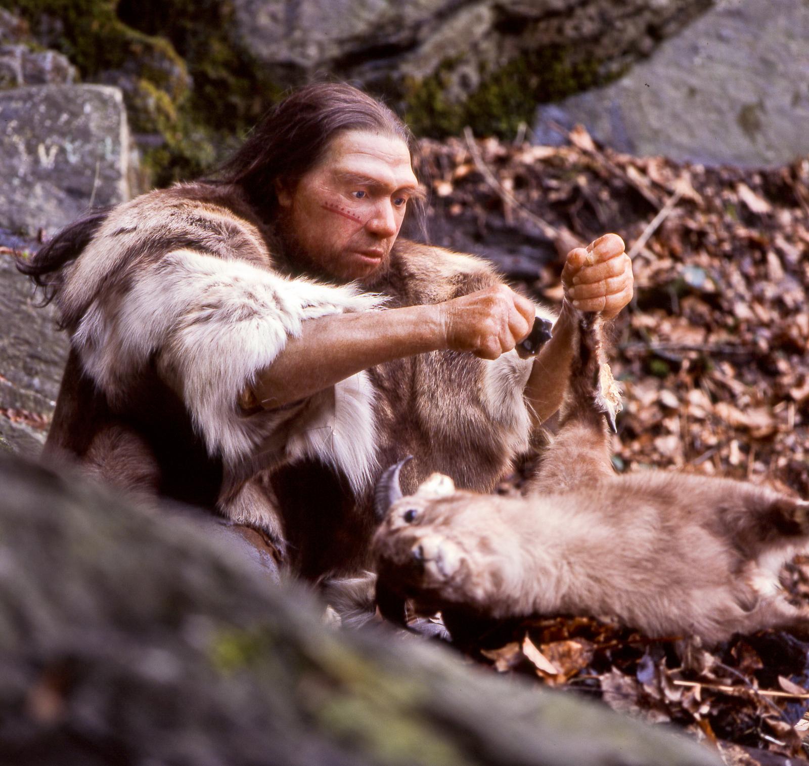 Neandertalare